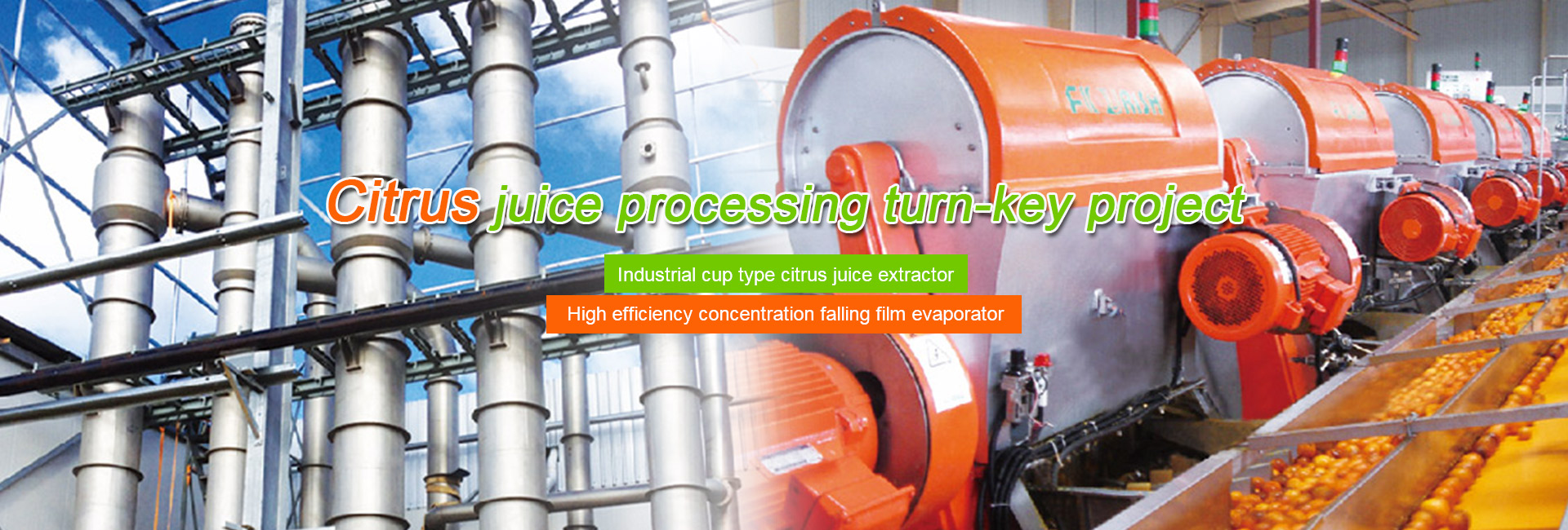 Yangzhou Flourish fruit and vegetable juice Machines Co., Ltd